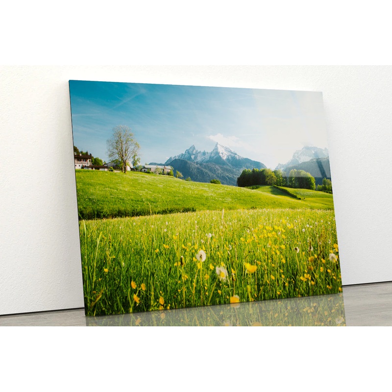 Blooming Meadows with Mountains in springtime Acrylic Glass Print Tempered Glass Wall Art 100% Made in Australia Ready to Hang