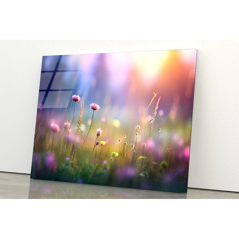 Blurred Meadow Background Grassland Acrylic Glass Print Tempered Glass Wall Art 100% Made in Australia Ready to Hang