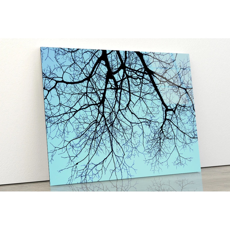 Branches of a Tree against the Sky in winter Acrylic Glass Print Tempered Glass Wall Art 100% Made in Australia Ready to Hang