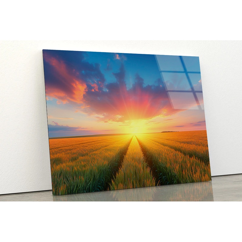 Rainbow with Wheat Fields at Sunset Acrylic Glass Print Tempered Glass Wall Art 100% Made in Australia Ready to Hang