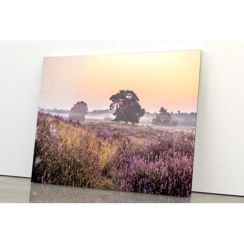 Serene Field of Beautiful Purple Flowers with Trees Acrylic Glass Print Tempered Glass Wall Art 100% Made in Australia Ready to Hang