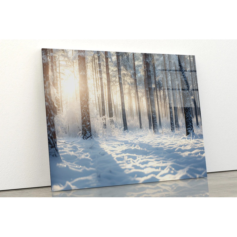 Snowy Forest with Trees Acrylic Glass Print Tempered Glass Wall Art 100% Made in Australia Ready to Hang