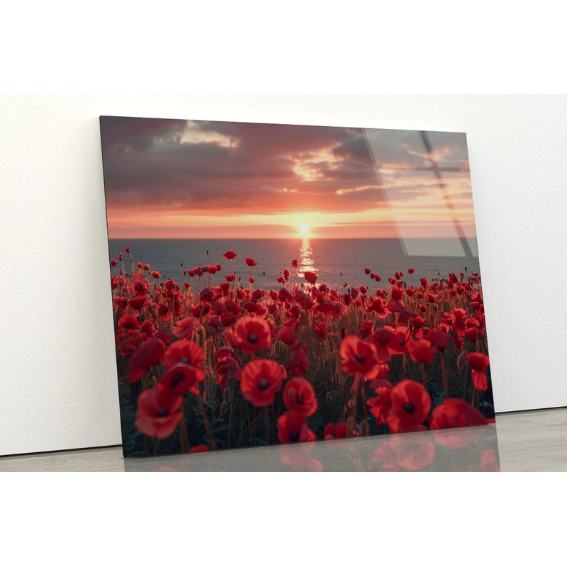 Stunning Sunset over a Sea Of Red Poppies Acrylic Glass Print Tempered Glass Wall Art 100% Made in Australia Ready to Hang