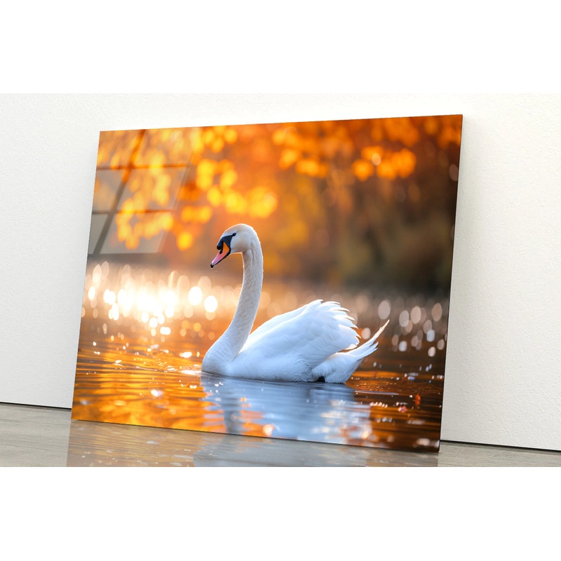 Swans on Autumn Pond View Acrylic Glass Print Tempered Glass Wall Art 100% Made in Australia Ready to Hang