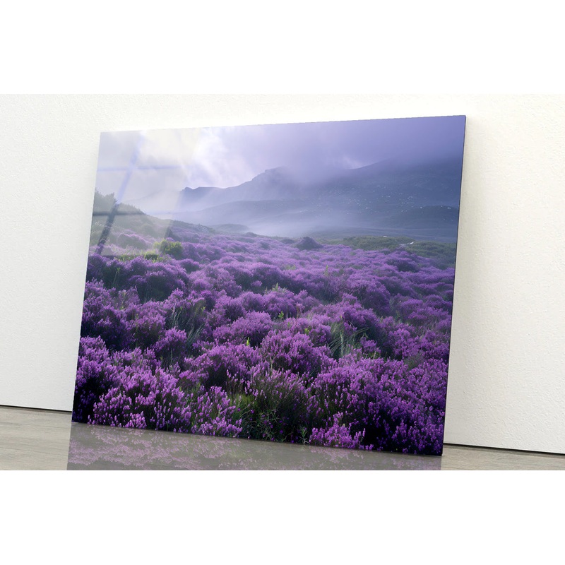 Very Beautiful View at Heather Meadows Acrylic Glass Print Tempered Glass Wall Art 100% Made in Australia Ready to Hang