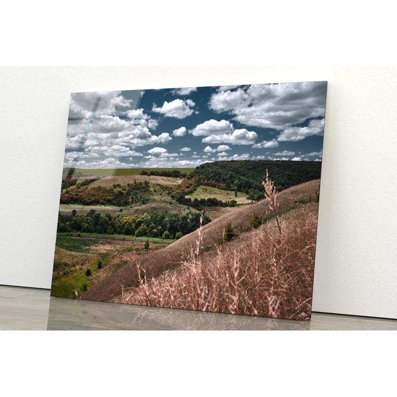 View of a Cloudy Sky and Forest Scenery Acrylic Glass Print Tempered Glass Wall Art 100% Made in Australia Ready to Hang