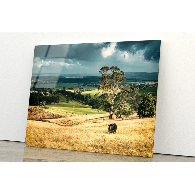 View of Grassland with Trees, Mountains & Sky Acrylic Glass Print Tempered Glass Wall Art 100% Made in Australia Ready to Hang