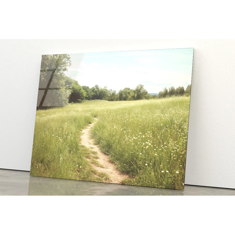 Walking Path through Meadow Grassland with Trees Acrylic Glass Print Tempered Glass Wall Art 100% Made in Australia Ready to Hang