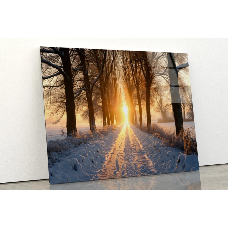 Winter with Tree Alley at Sunset Acrylic Glass Print Tempered Glass Wall Art 100% Made in Australia Ready to Hang