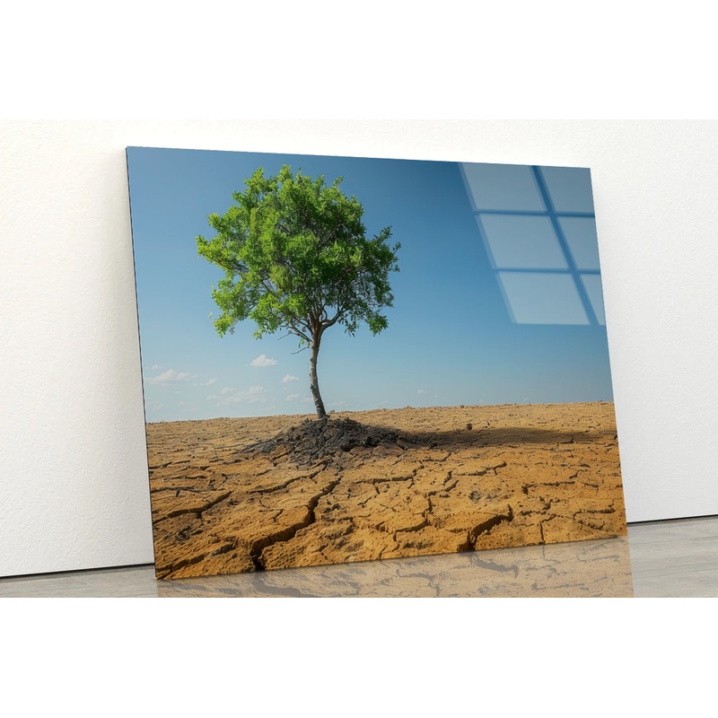A Tree Is Standing In a Barren Desert Acrylic Glass Print Tempered Glass Wall Art 100% Made in Australia Ready to Hang