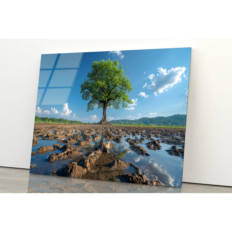A Tree Is Standing In a Field Acrylic Glass Print Tempered Glass Wall Art 100% Made in Australia Ready to Hang