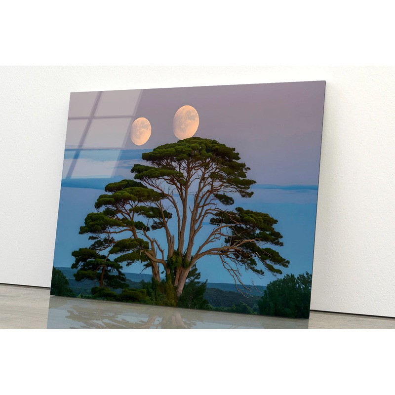 A Tree with the Moon in the Background Acrylic Glass Print Tempered Glass Wall Art 100% Made in Australia Ready to Hang