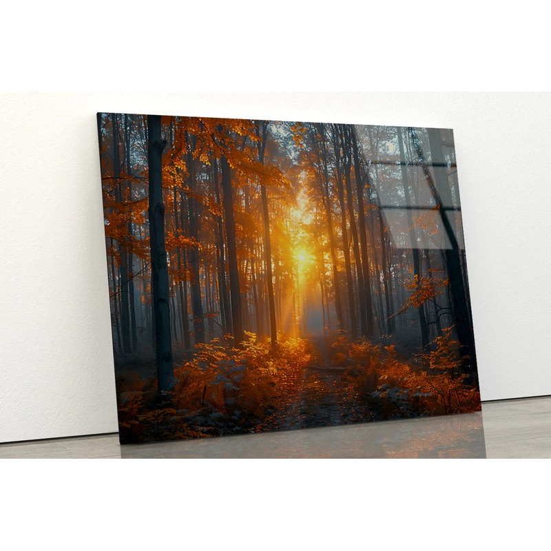 Autumn Forest in the Morning Acrylic Glass Print Tempered Glass Wall Art 100% Made in Australia Ready to Hang