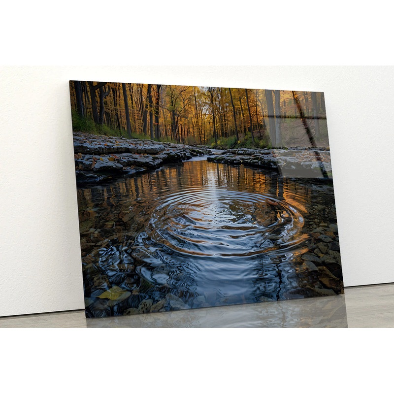 Autumn in the Woods Acrylic Glass Print Tempered Glass Wall Art 100% Made in Australia Ready to Hang
