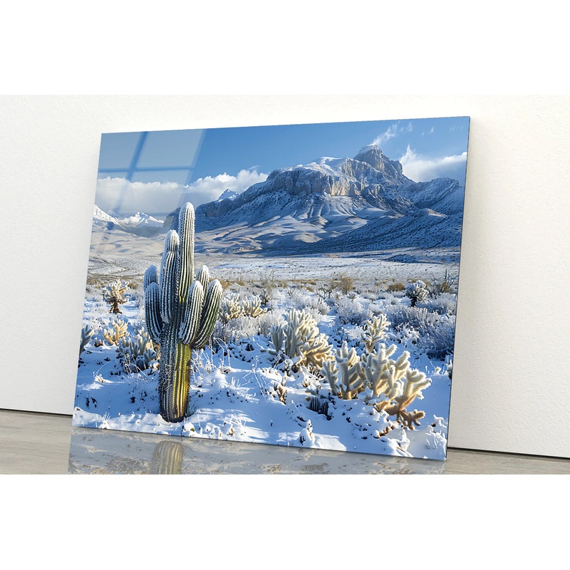 Cactus in a Snowy with Sky and Mountain Acrylic Glass Print Tempered Glass Wall Art 100% Made in Australia Ready to Hang