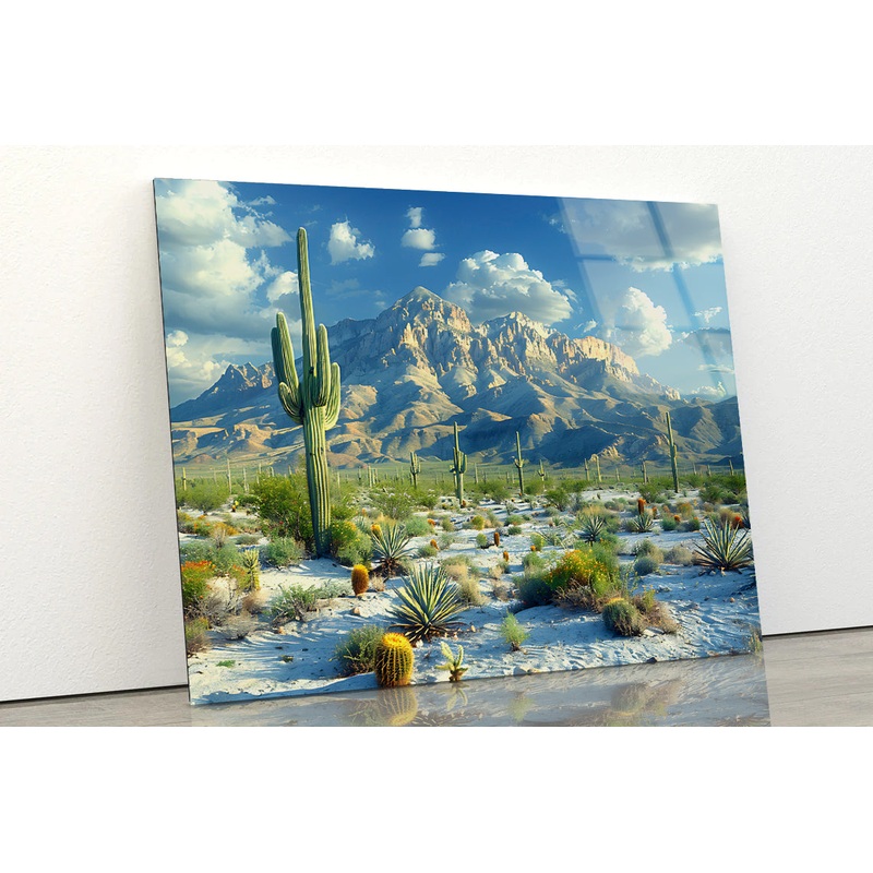 Cactus in the Desert Acrylic Glass Print Tempered Glass Wall Art 100% Made in Australia Ready to Hang