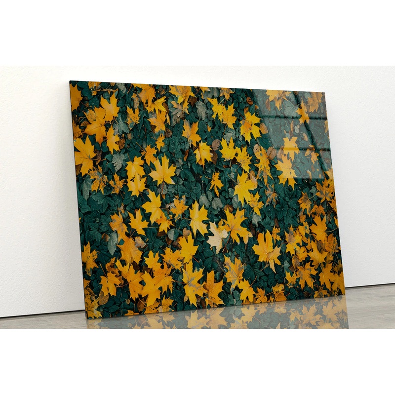 Close Up Of a Field Of Yellow Leaves Acrylic Glass Print Tempered Glass Wall Art 100% Made in Australia Ready to Hang