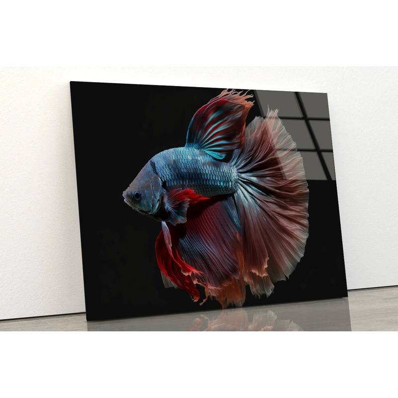 Colorful Fish Swimming In the Water Acrylic Glass Print Tempered Glass Wall Art 100% Made in Australia Ready to Hang