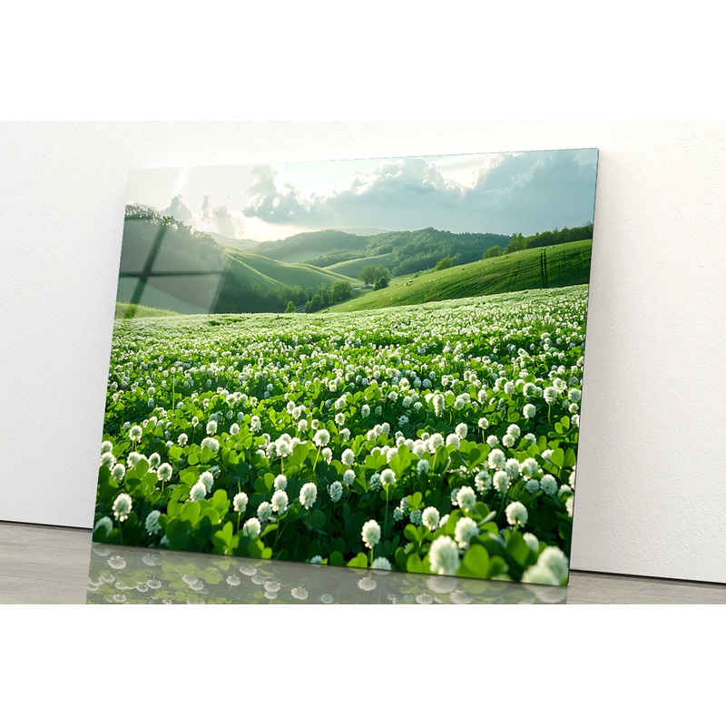 Field Of Dandelions View Acrylic Glass Print Tempered Glass Wall Art 100% Made in Australia Ready to Hang
