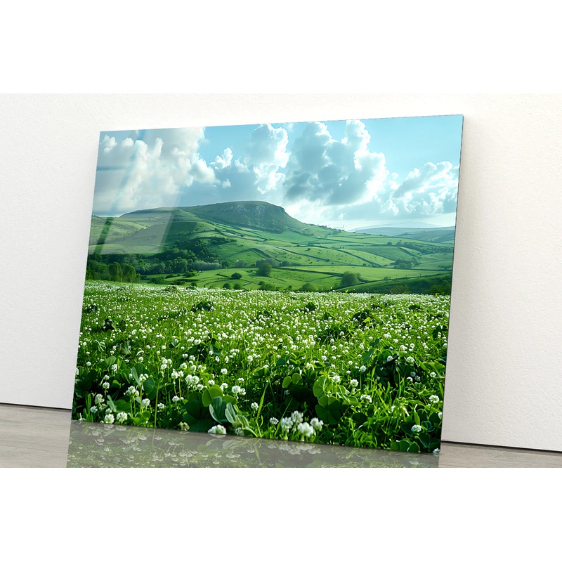Field with Blue Sky View Acrylic Glass Print Tempered Glass Wall Art 100% Made in Australia Ready to Hang