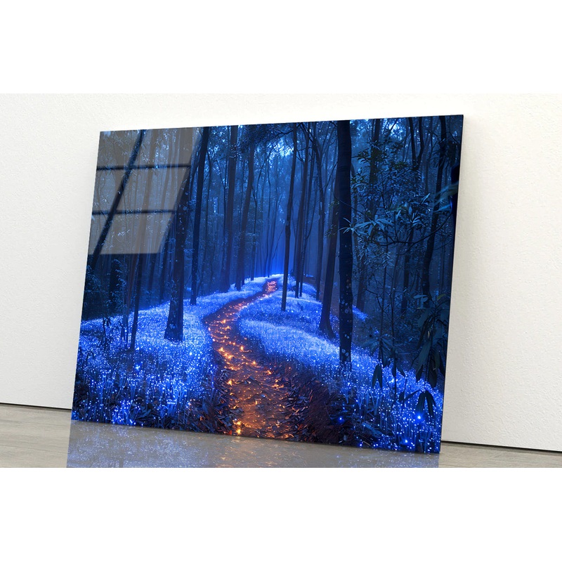 Footpath in the Forest View Acrylic Glass Print Tempered Glass Wall Art 100% Made in Australia Ready to Hang