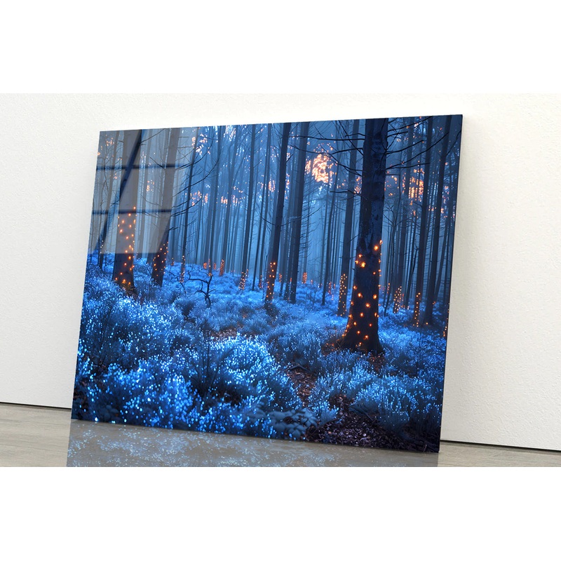 Forest in the Night Acrylic Glass Print Tempered Glass Wall Art 100% Made in Australia Ready to Hang