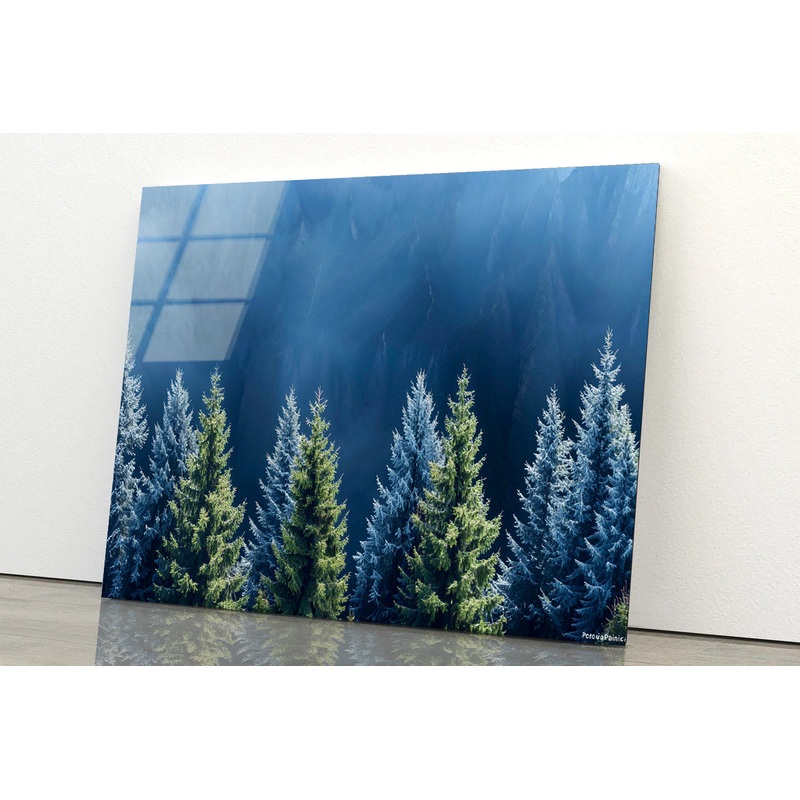 Forest Of Pine Trees Acrylic Glass Print Tempered Glass Wall Art 100% Made in Australia Ready to Hang