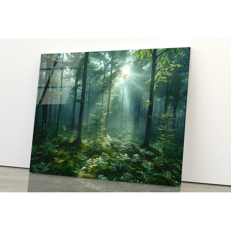 Forest with Sunrise View Acrylic Glass Print Tempered Glass Wall Art 100% Made in Australia Ready to Hang