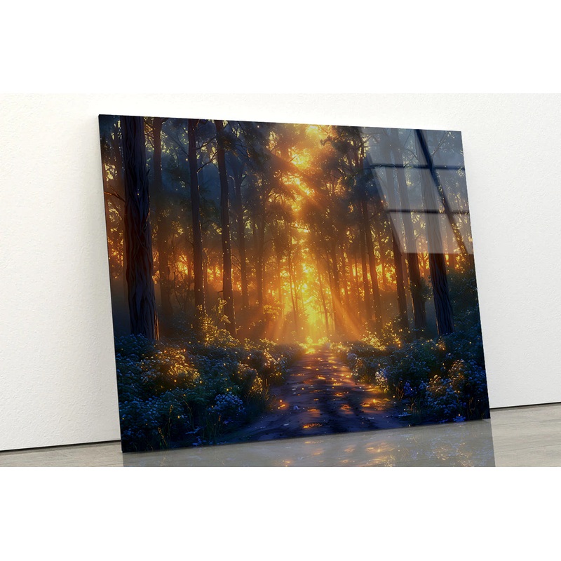 Forest with the Bright Sun Shining Acrylic Glass Print Tempered Glass Wall Art 100% Made in Australia Ready to Hang
