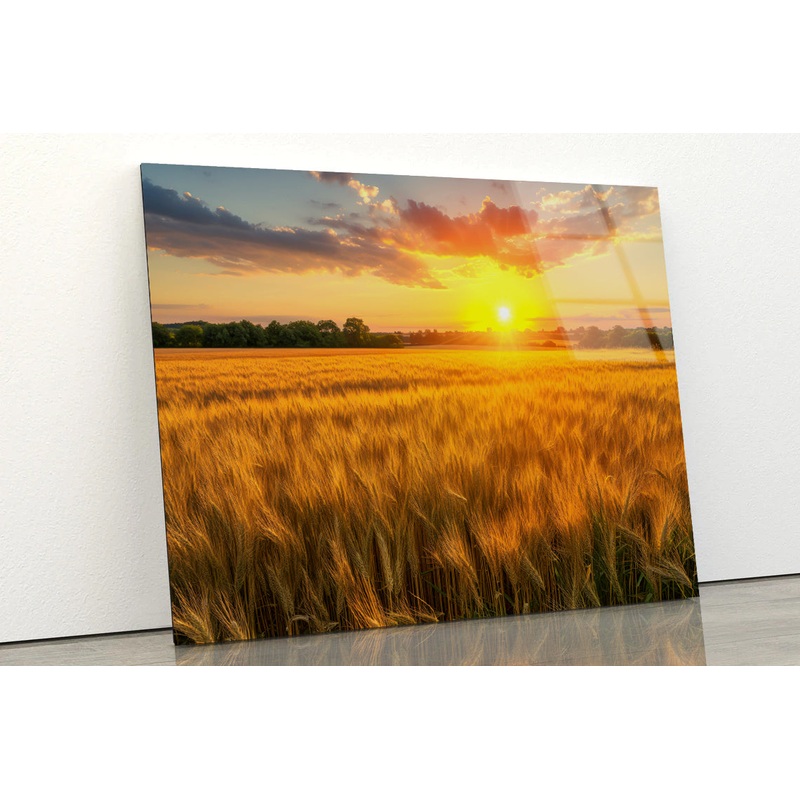 Rainbow Rural Landscape with Wheat Fields At Sunset Acrylic Glass Print Tempered Glass Wall Art 100% Made in Australia Ready to Hang