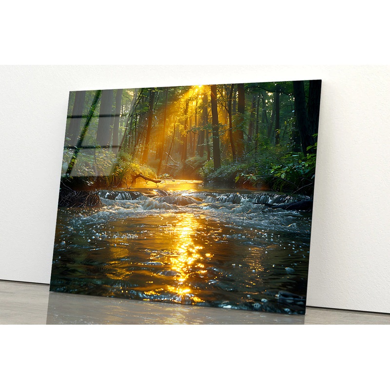 River in the Forest Acrylic Glass Print Tempered Glass Wall Art 100% Made in Australia Ready to Hang