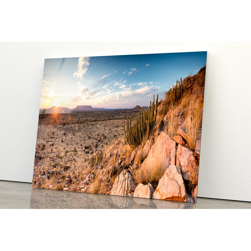 Rocks, Plants & Mountains in South Africa Acrylic Glass Print Tempered Glass Wall Art 100% Made in Australia Ready to Hang