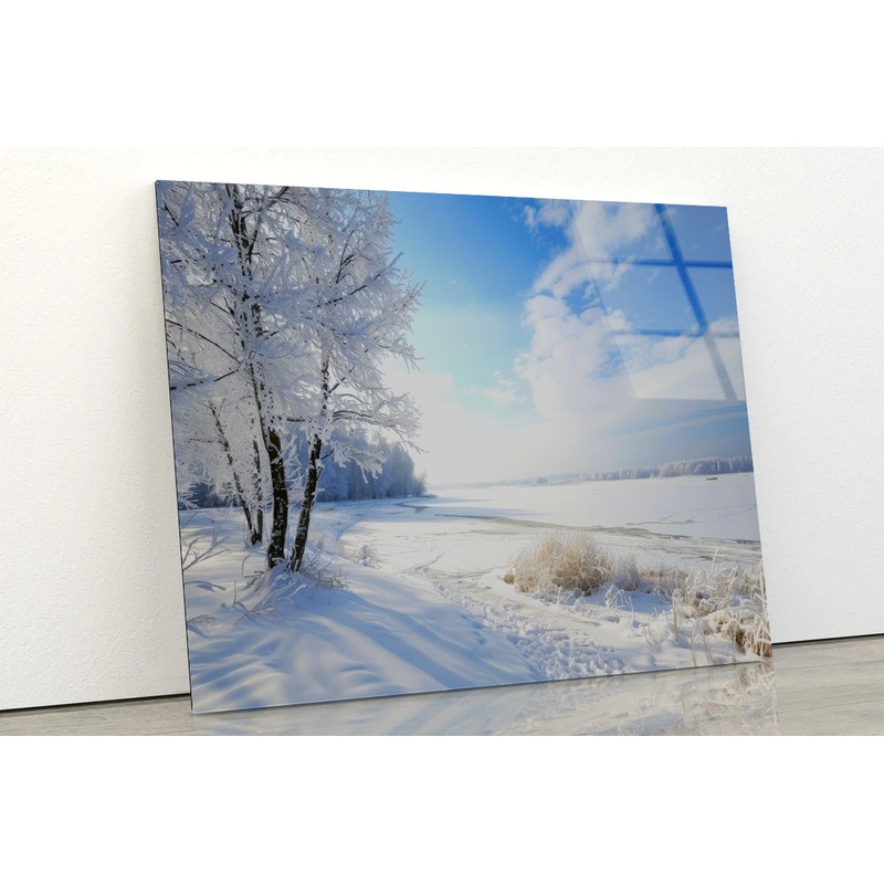 Snowy Field with Trees under a Sky Acrylic Glass Print Tempered Glass Wall Art 100% Made in Australia Ready to Hang