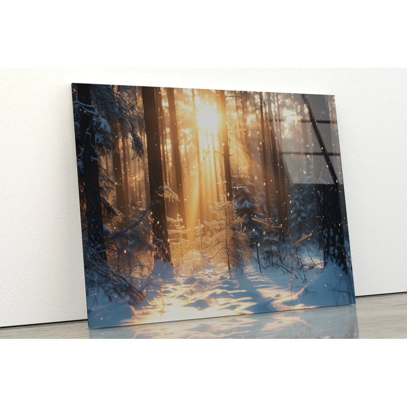 Snowy Forest with Trees through Sunlight Acrylic Glass Print Tempered Glass Wall Art 100% Made in Australia Ready to Hang