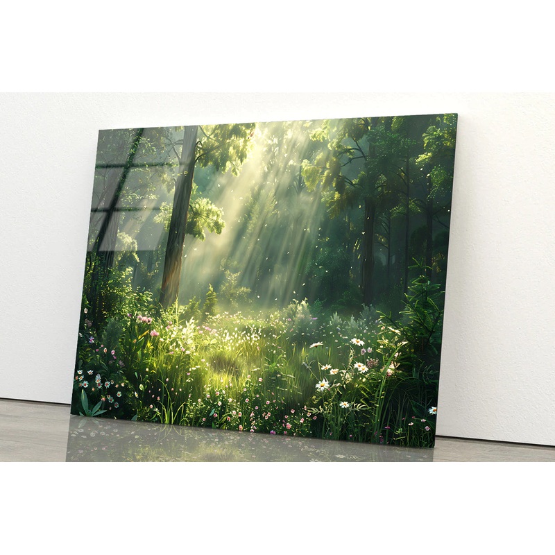 Sun Rays in the Forest Acrylic Glass Print Tempered Glass Wall Art 100% Made in Australia Ready to Hang