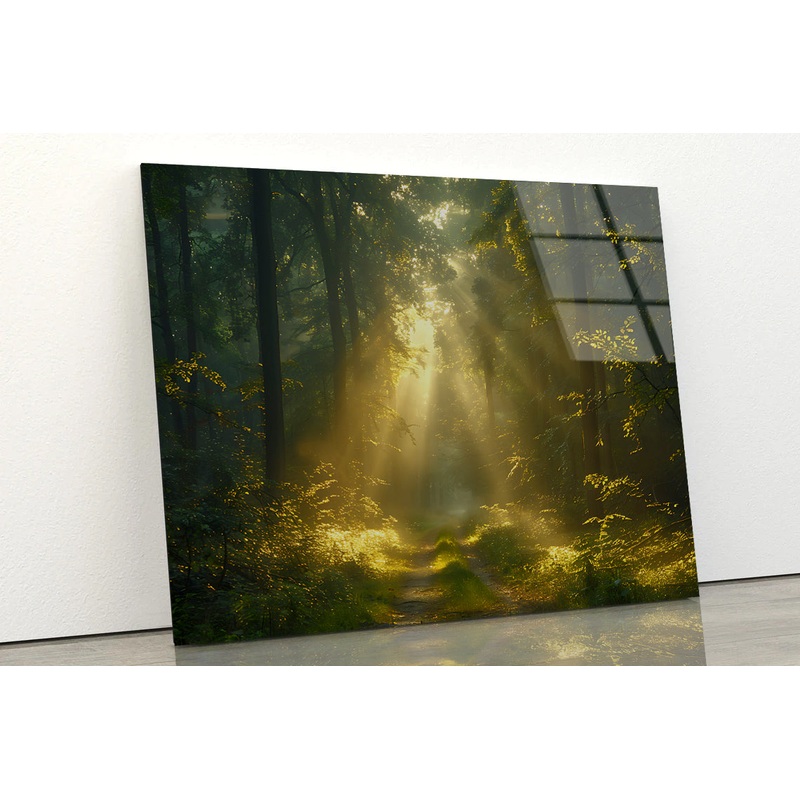 Sun Shining With Trees in a Forest Acrylic Glass Print Tempered Glass Wall Art 100% Made in Australia Ready to Hang
