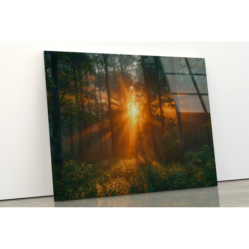 Sunlight Shining Through the Trees Acrylic Glass Print Tempered Glass Wall Art 100% Made in Australia Ready to Hang