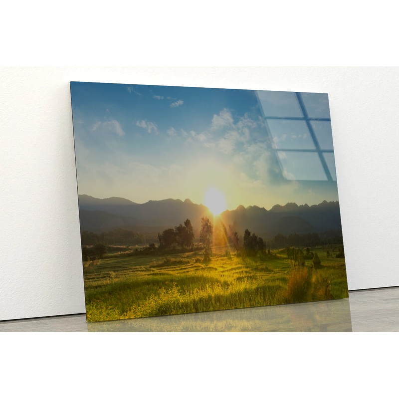 Sunset, Blossoming Meadow Acrylic Glass Print Tempered Glass Wall Art 100% Made in Australia Ready to Hang