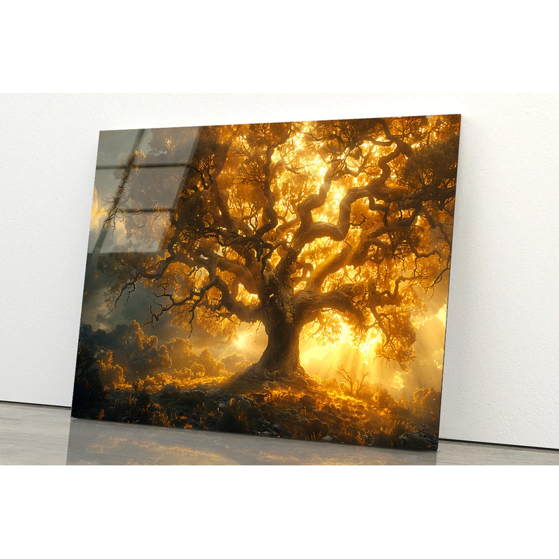 Sunset in the Forest View Acrylic Glass Print Tempered Glass Wall Art 100% Made in Australia Ready to Hang