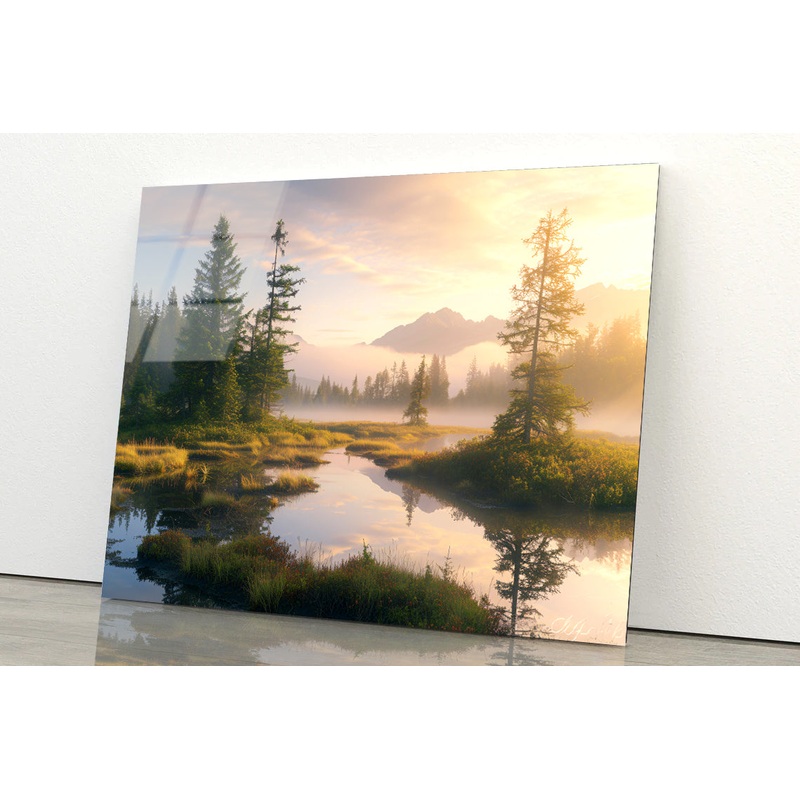 View at Heather Meadow with Mountains Acrylic Glass Print Tempered Glass Wall Art 100% Made in Australia Ready to Hang