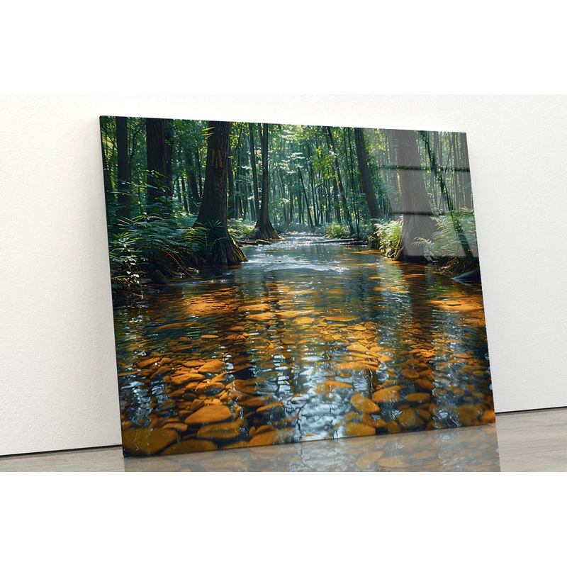 View of Forest in the Morning Acrylic Glass Print Tempered Glass Wall Art 100% Made in Australia Ready to Hang