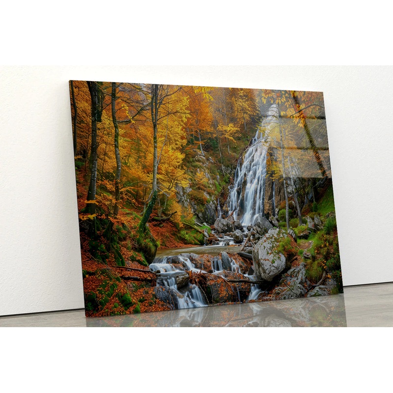 Waterfall in a Forest with Trees Acrylic Glass Print Tempered Glass Wall Art 100% Made in Australia Ready to Hang