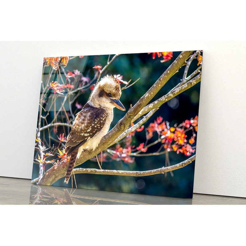 Bird On Branch Red with Flower Acrylic Glass Print Tempered Glass Wall Art 100% Made in Australia Ready to Hang