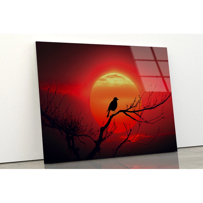 Bird, Sun & Sunset Acrylic Glass Print Tempered Glass Wall Art 100% Made in Australia Ready to Hang