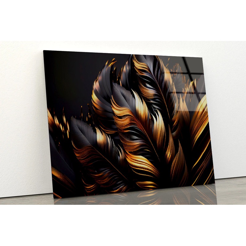 Black and Gold Feathers Acrylic Glass Print Tempered Glass Wall Art 100% Made in Australia Ready to Hang