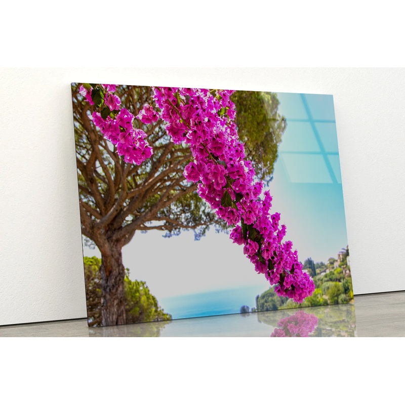 Branch Of Bougainvillea Flowers Acrylic Glass Print Tempered Glass Wall Art 100% Made in Australia Ready to Hang