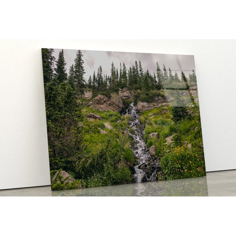 Bunch Of Green Pine Tree on Rocks Acrylic Glass Print Tempered Glass Wall Art 100% Made in Australia Ready to Hang
