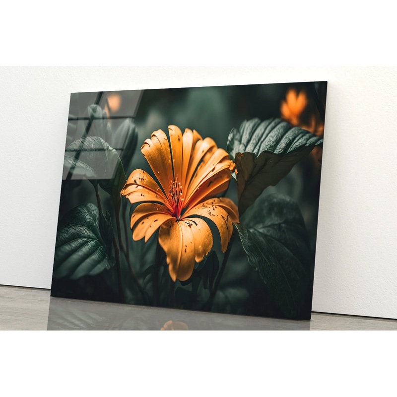 Close-up of an Orange Blossom Acrylic Glass Print Tempered Glass Wall Art 100% Made in Australia Ready to Hang