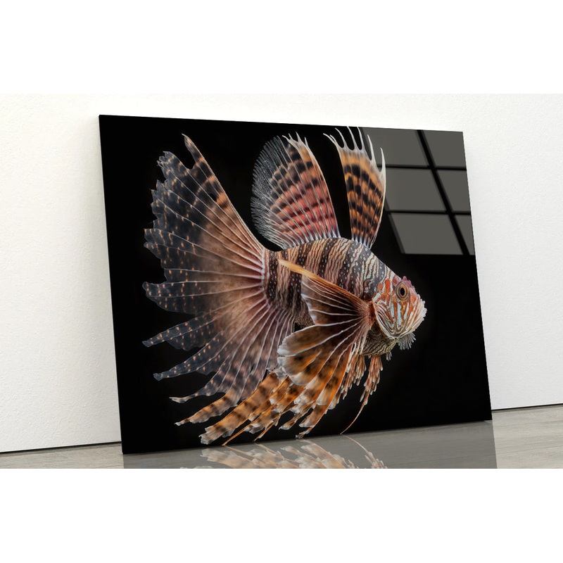 Close up Red Lionfish Acrylic Glass Print Tempered Glass Wall Art 100% Made in Australia Ready to Hang