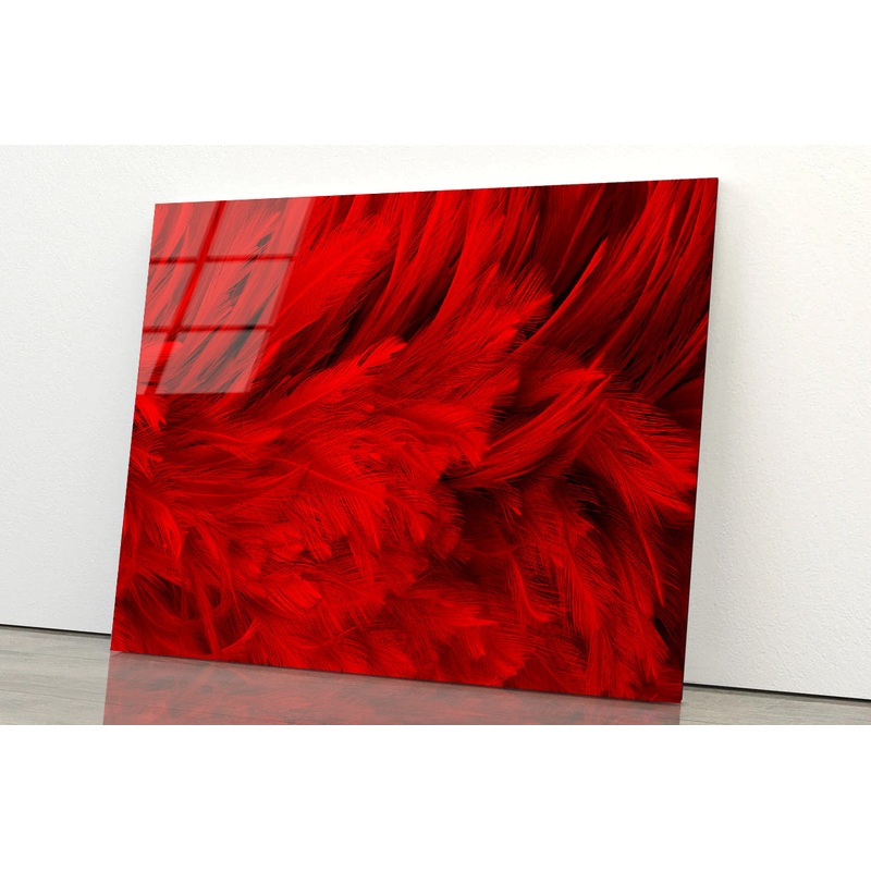 Dark Red Feathers in Close-Up Acrylic Glass Print Tempered Glass Wall Art 100% Made in Australia Ready to Hang
